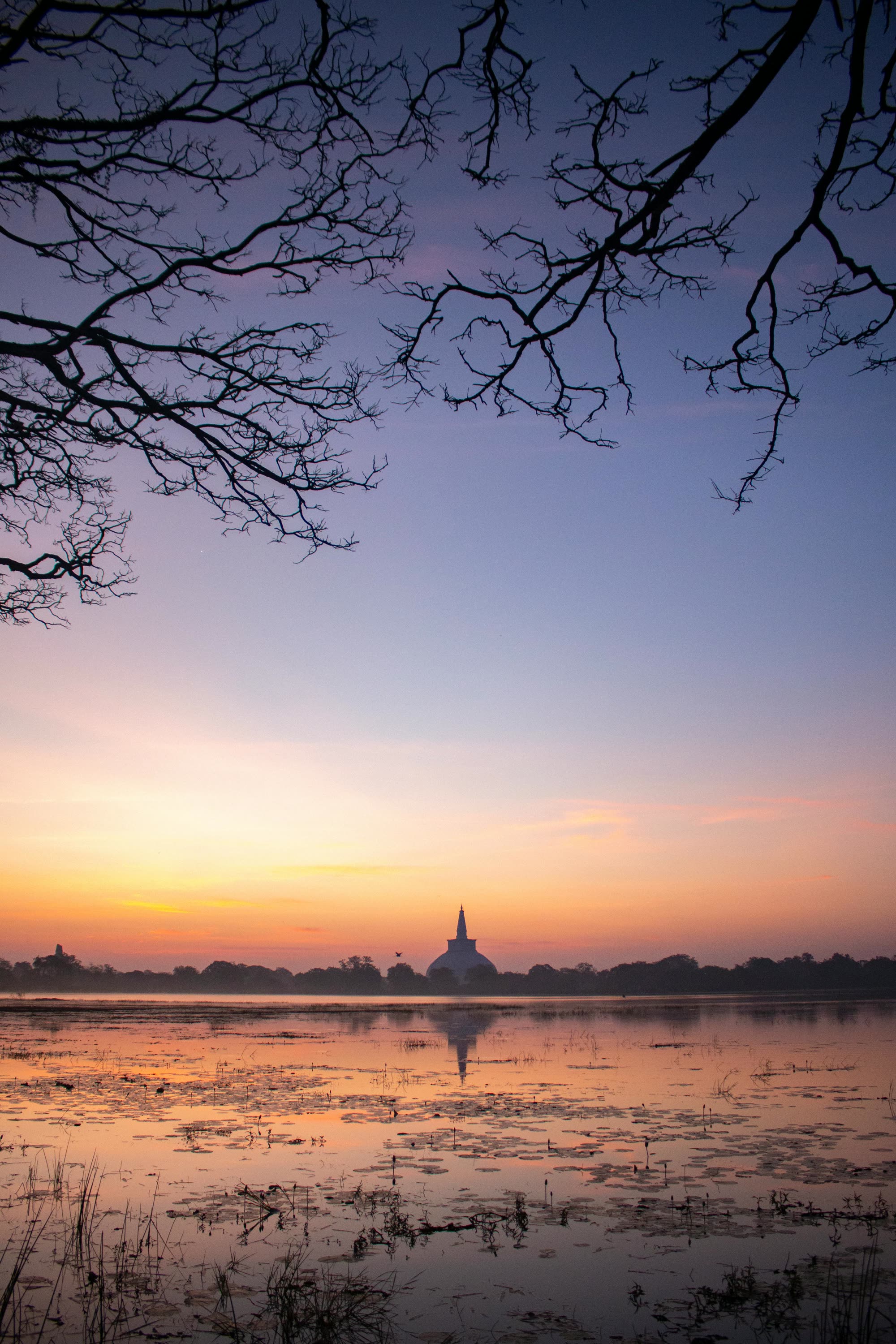Jaya Sri Maha Bodhi