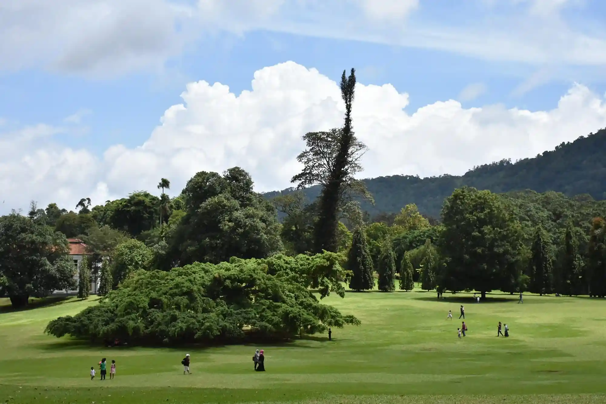 Botanical Gardens
