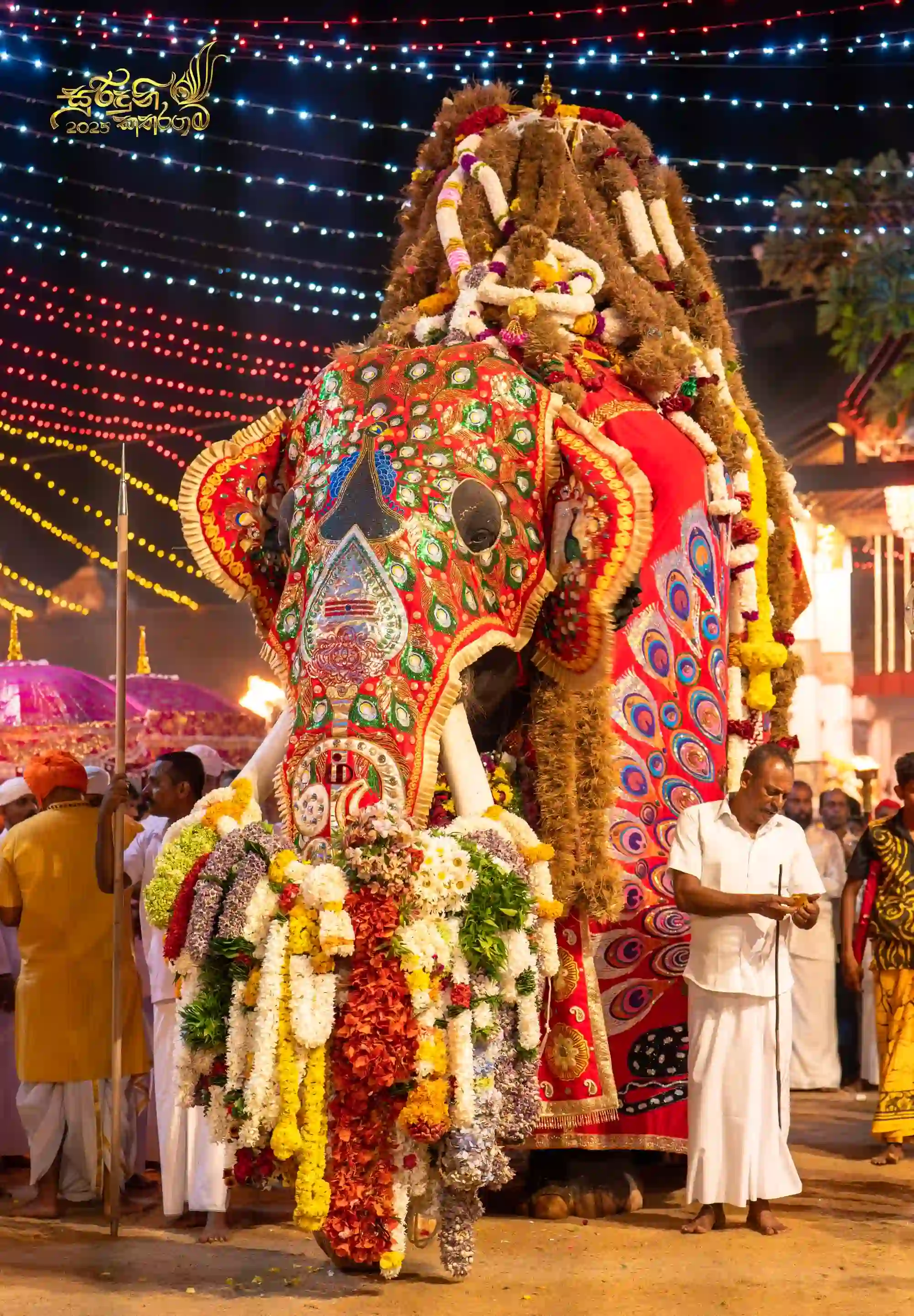Sacred Tusker in Kataragama Perahera