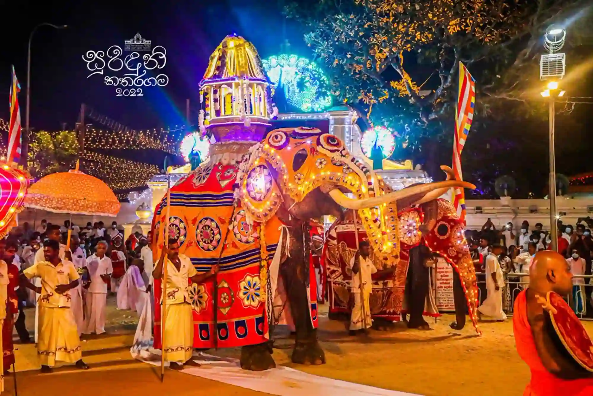 Illuminated Elephants at Kataragama Temple