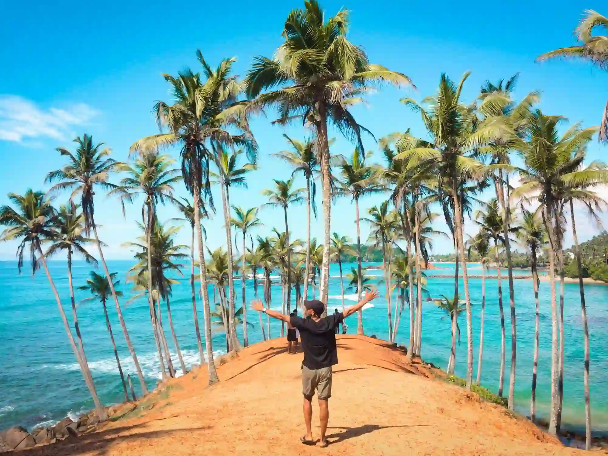 Coconut Tree Hill - Iconic Palm-Covered Headland