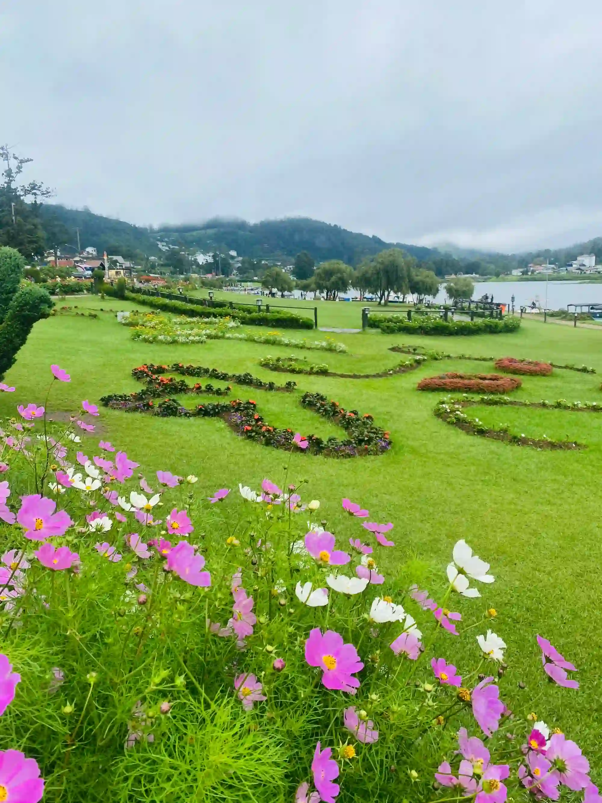 Flower Garden by Gregory Lake