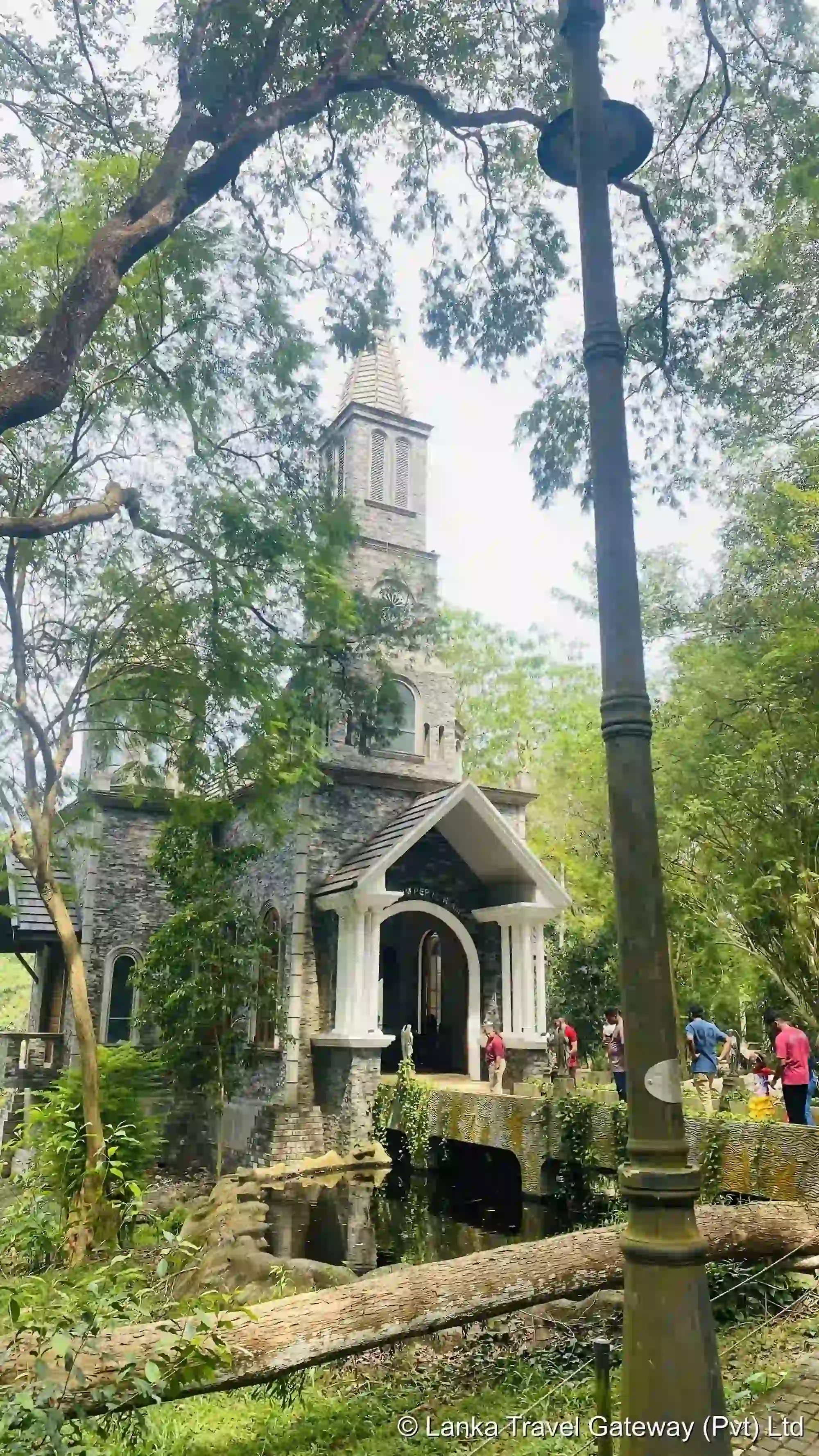 Chapel of Our Lady of Lourdes – Forest View