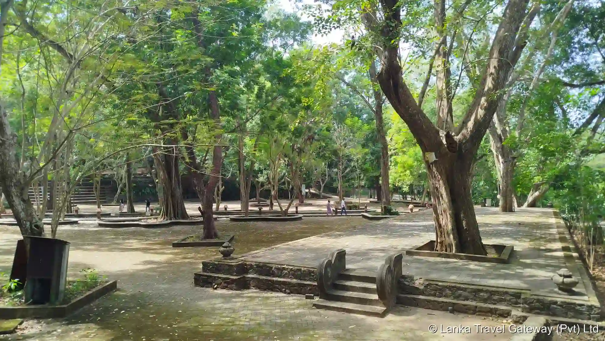 Pilgrimage Walkways at Tewatta