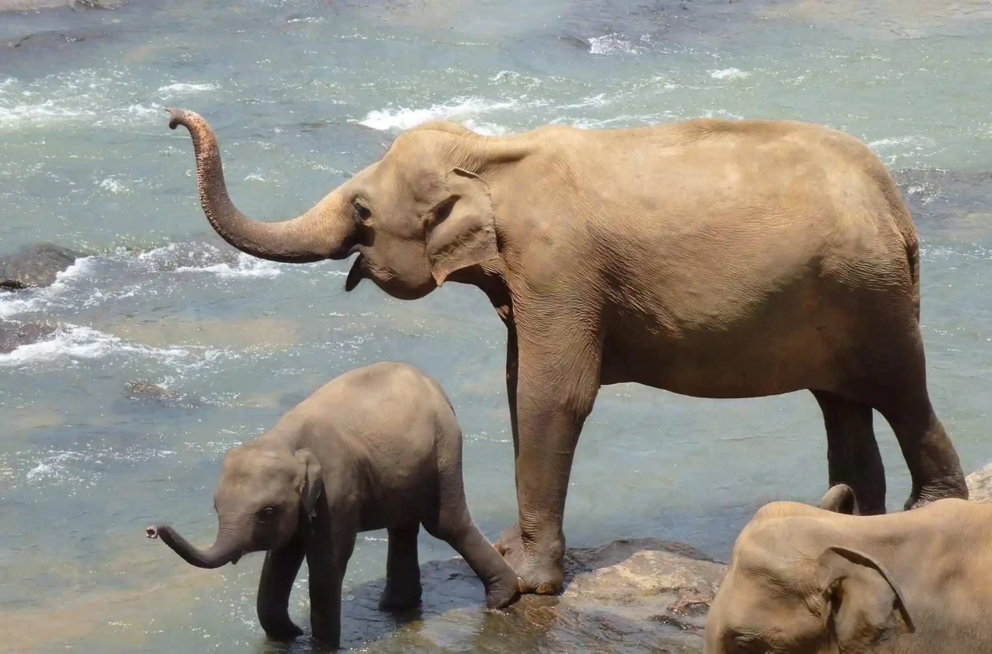 Mother & Baby at the River