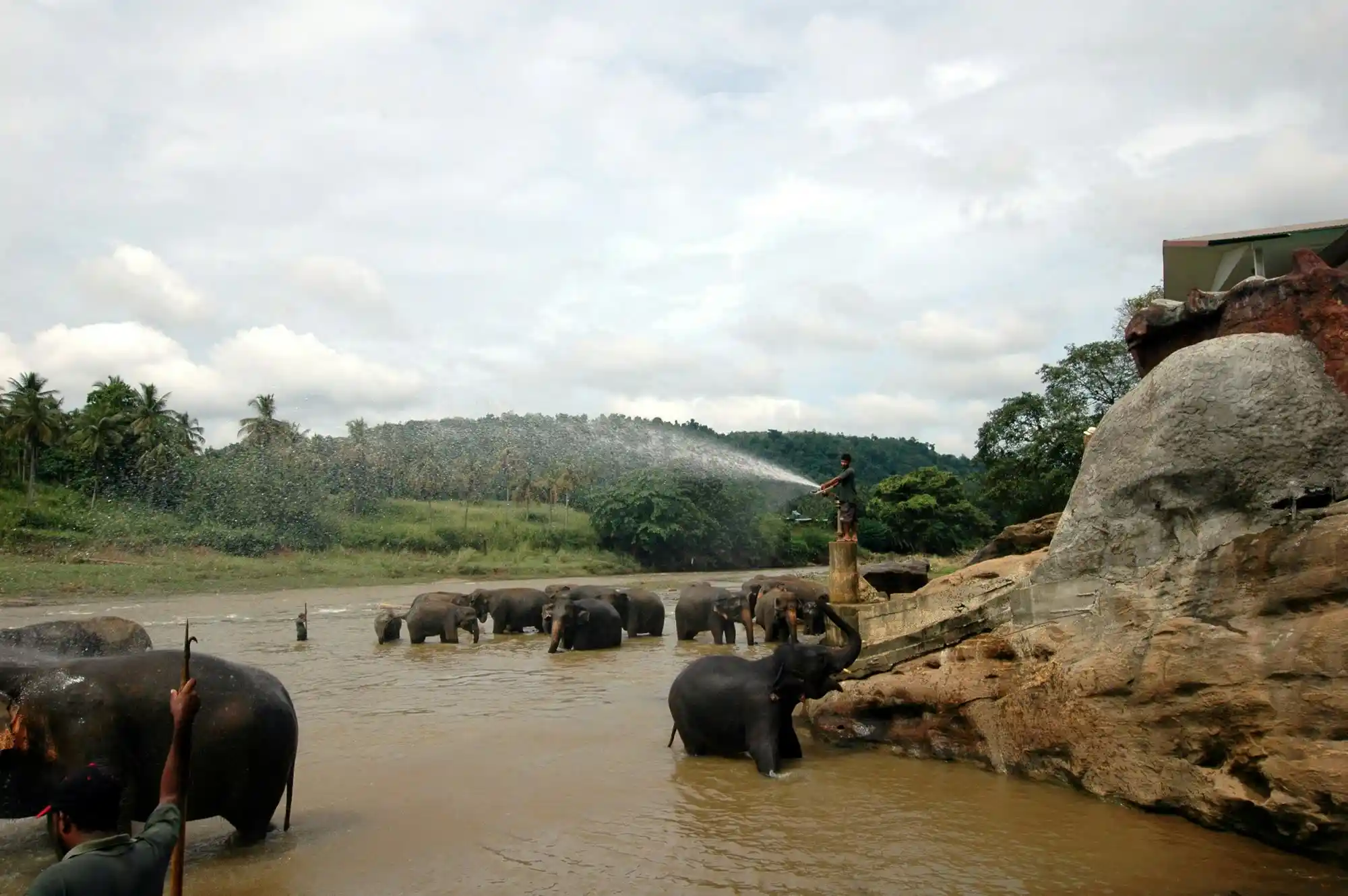 Mahout River Shower