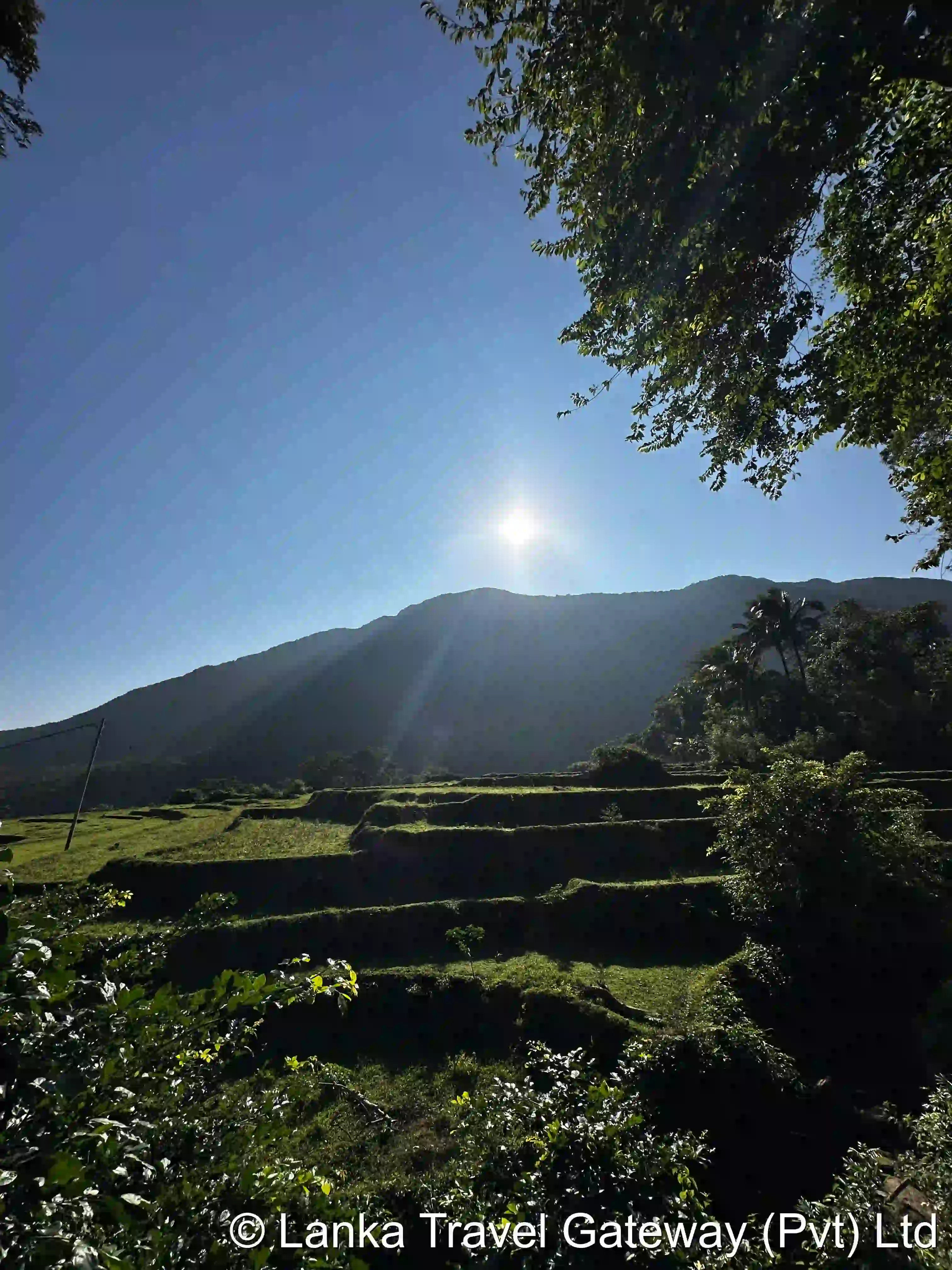 Paddy Terraces at Riverston Base