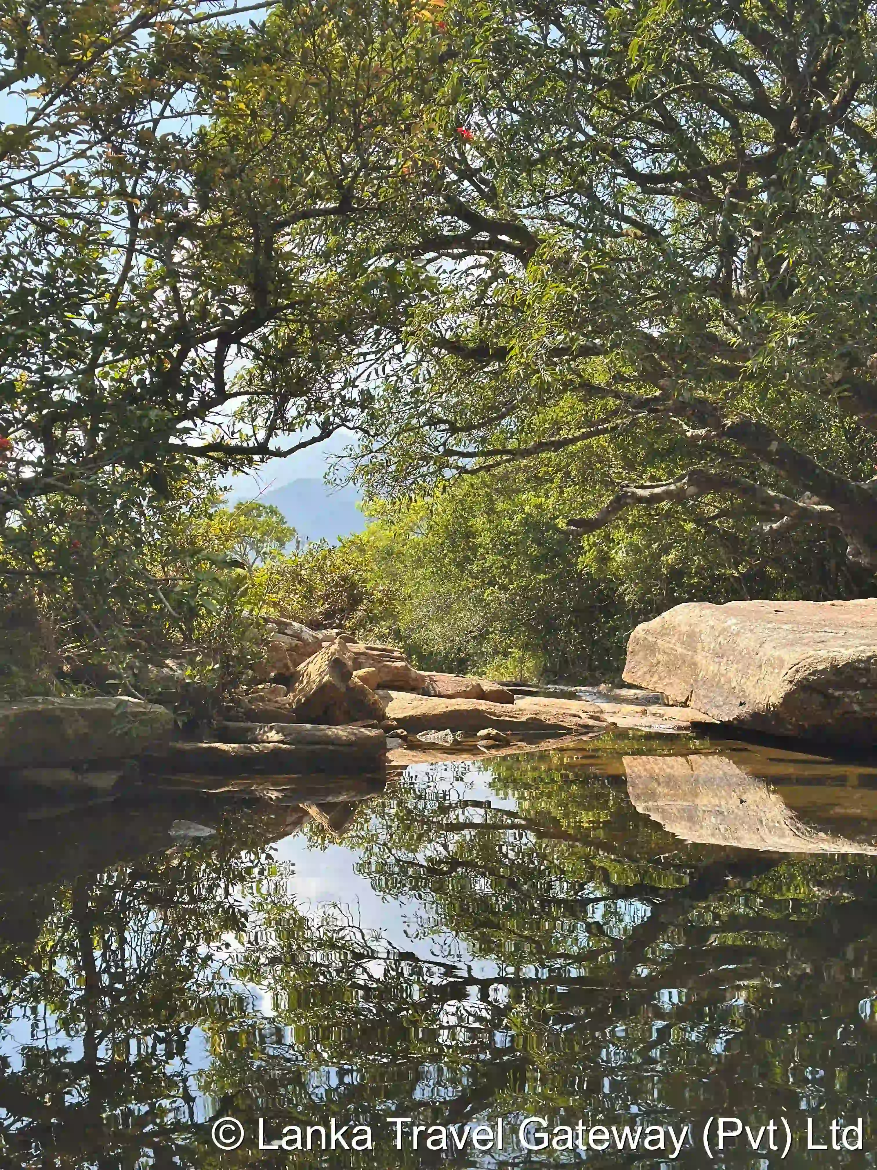 Reflection Pool at Riverston