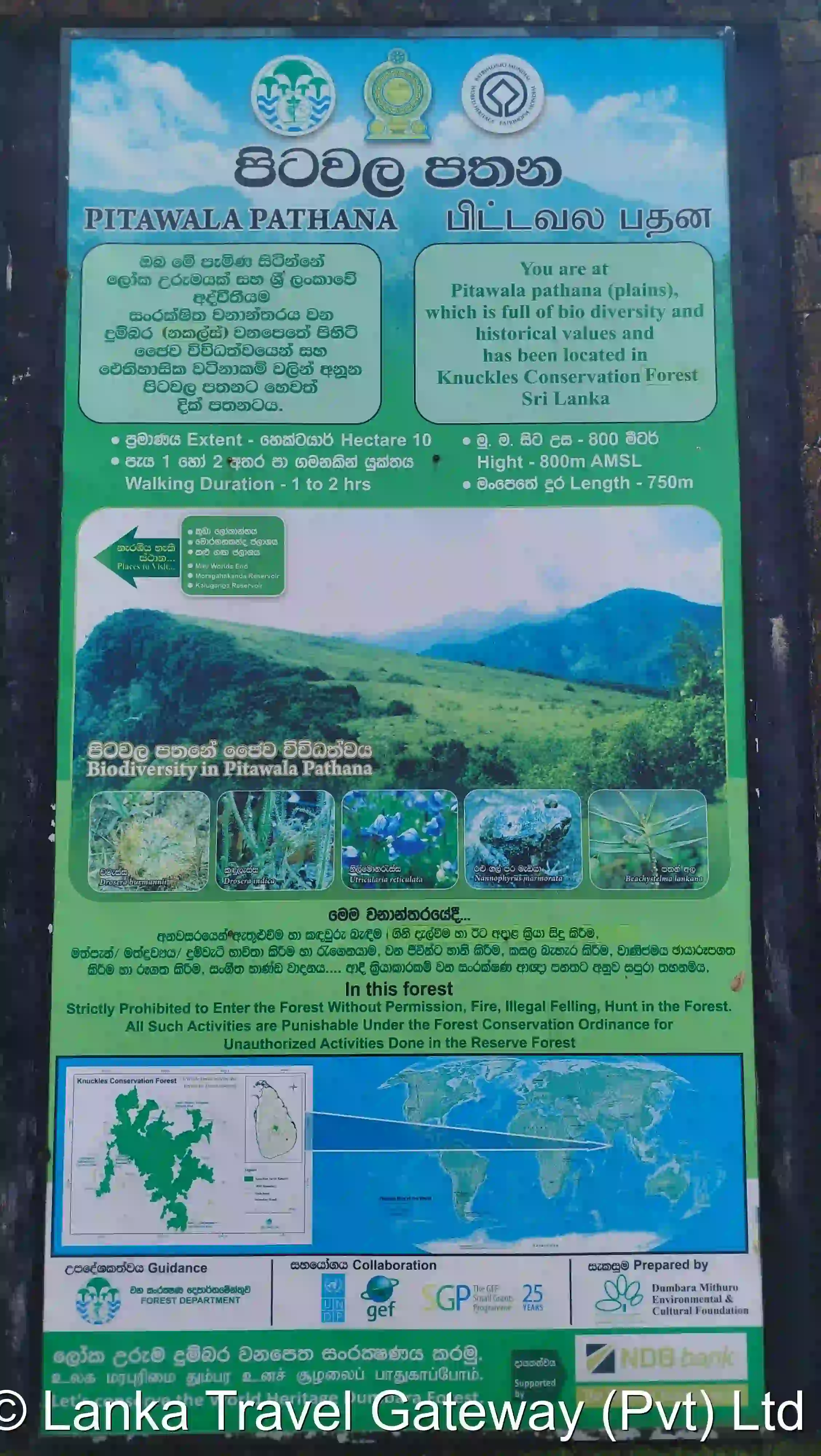 Pitawala Pathana Biodiversity Board