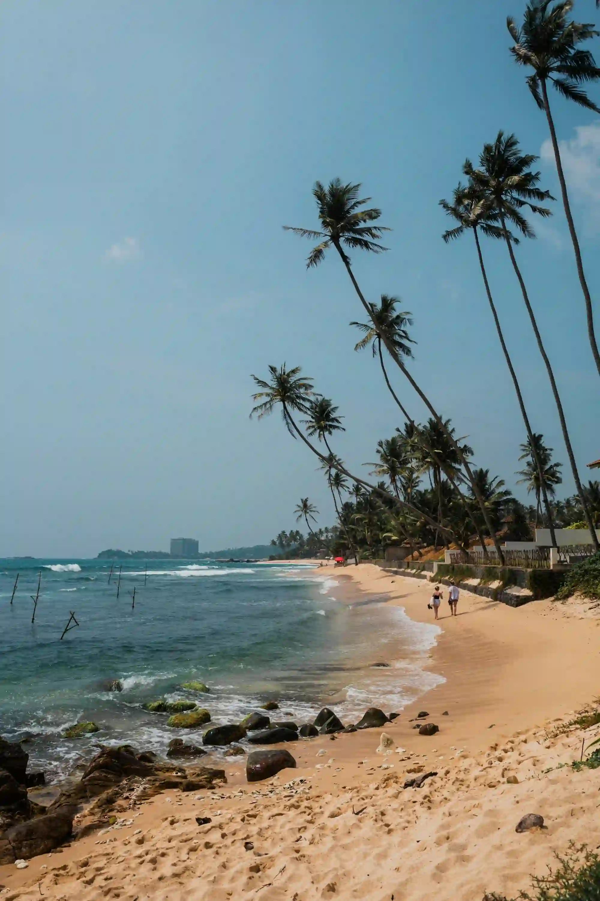 Palm-Fringed Beach Walk