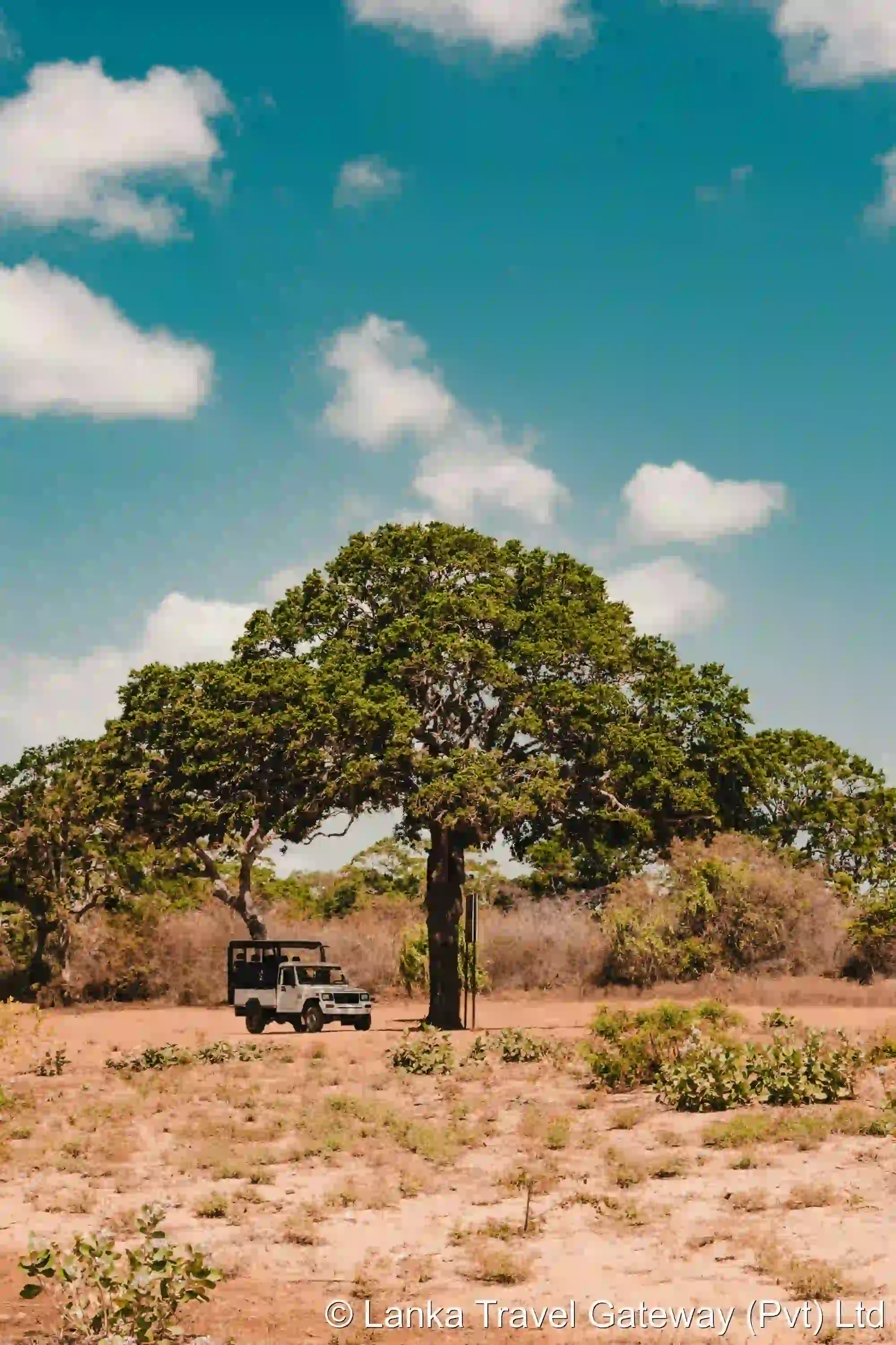 Safari Adventure in Yala